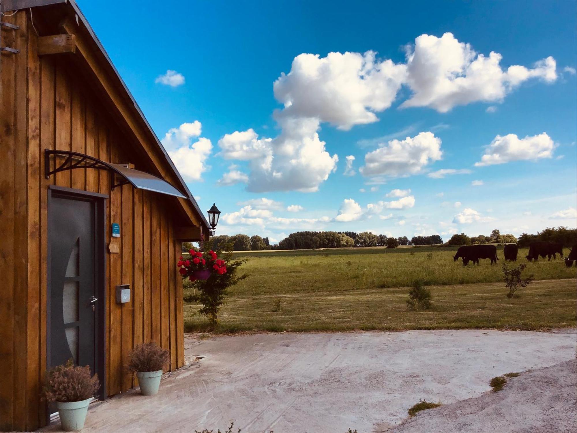 Le Chalet De La Ferme Du Tertre Villers-au-Tertre Phòng bức ảnh